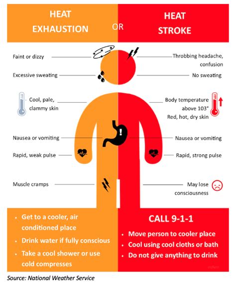 mr summers|How meth derails the body's heat response, making Arizona .